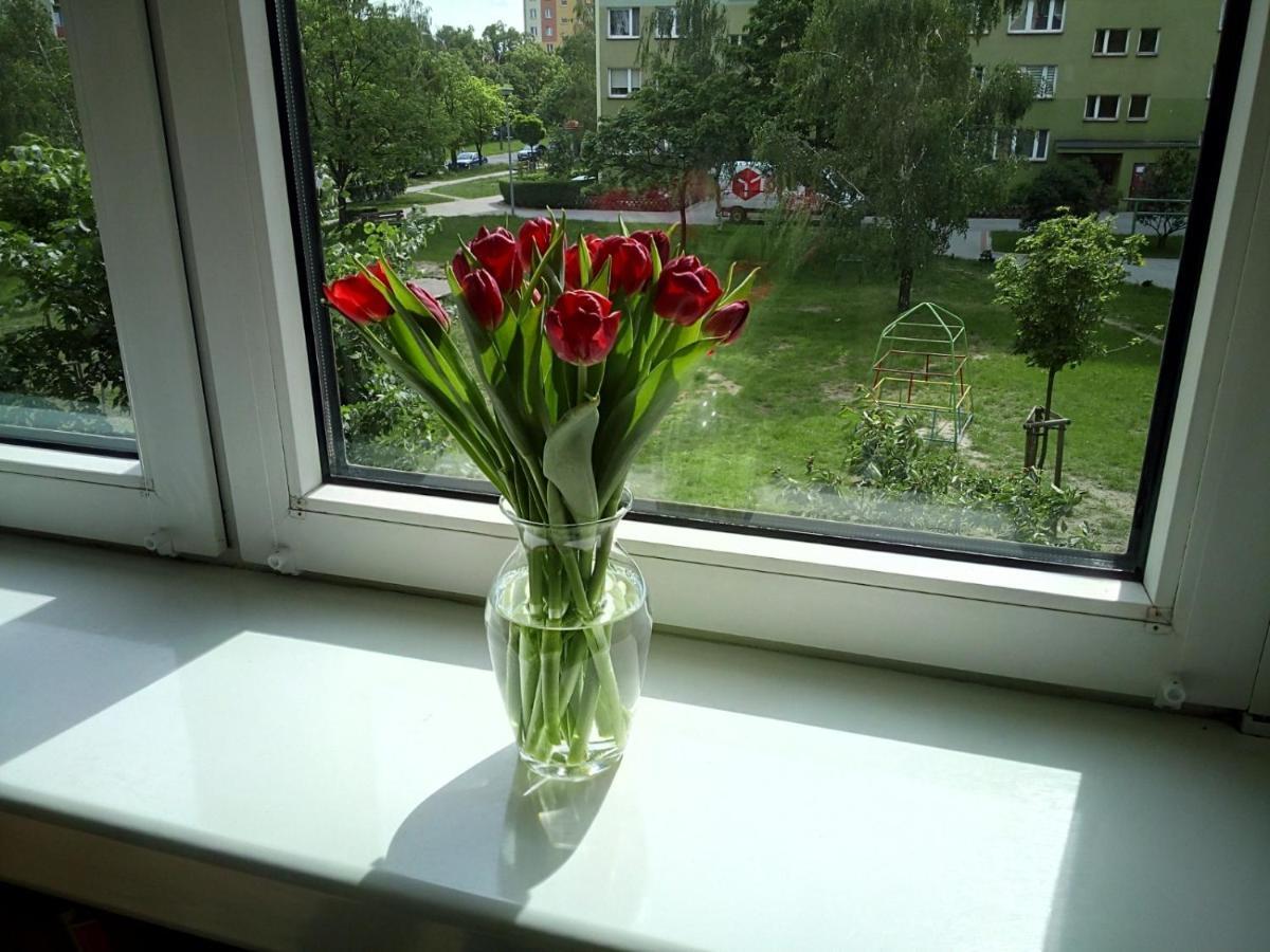 Apartament Usmiech Płock Exteriér fotografie